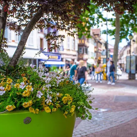 Colmar