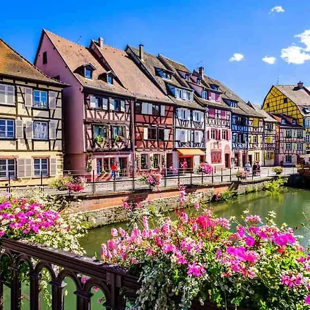 公寓 Colmar 科尔马