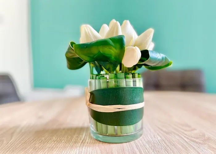 Colmar Апартаменты