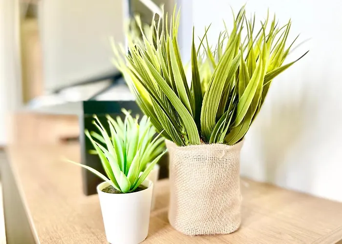 Апартаменты Colmar