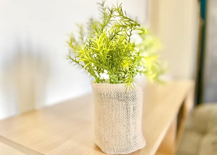 Colmar Апартаменты